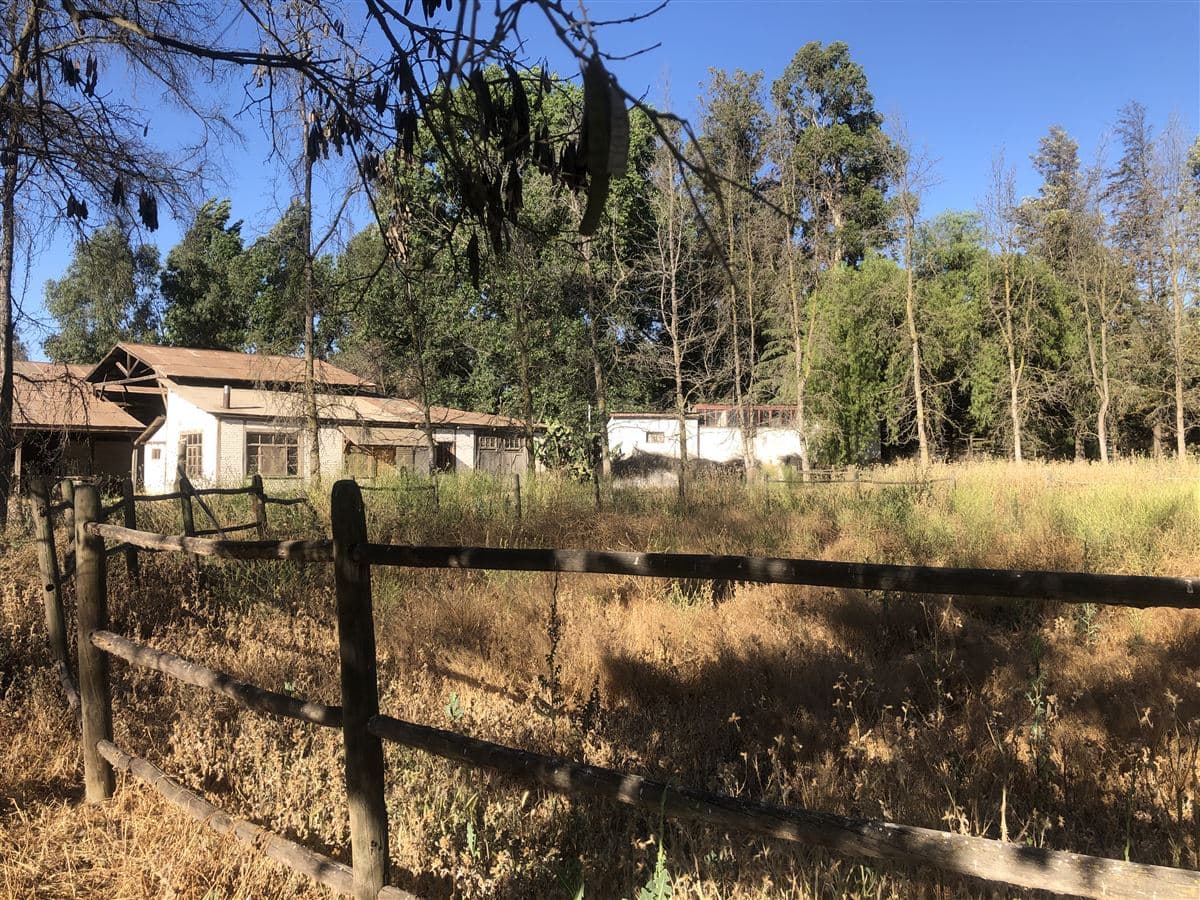 Calera de Tango, el Copihue, camino Lonquén