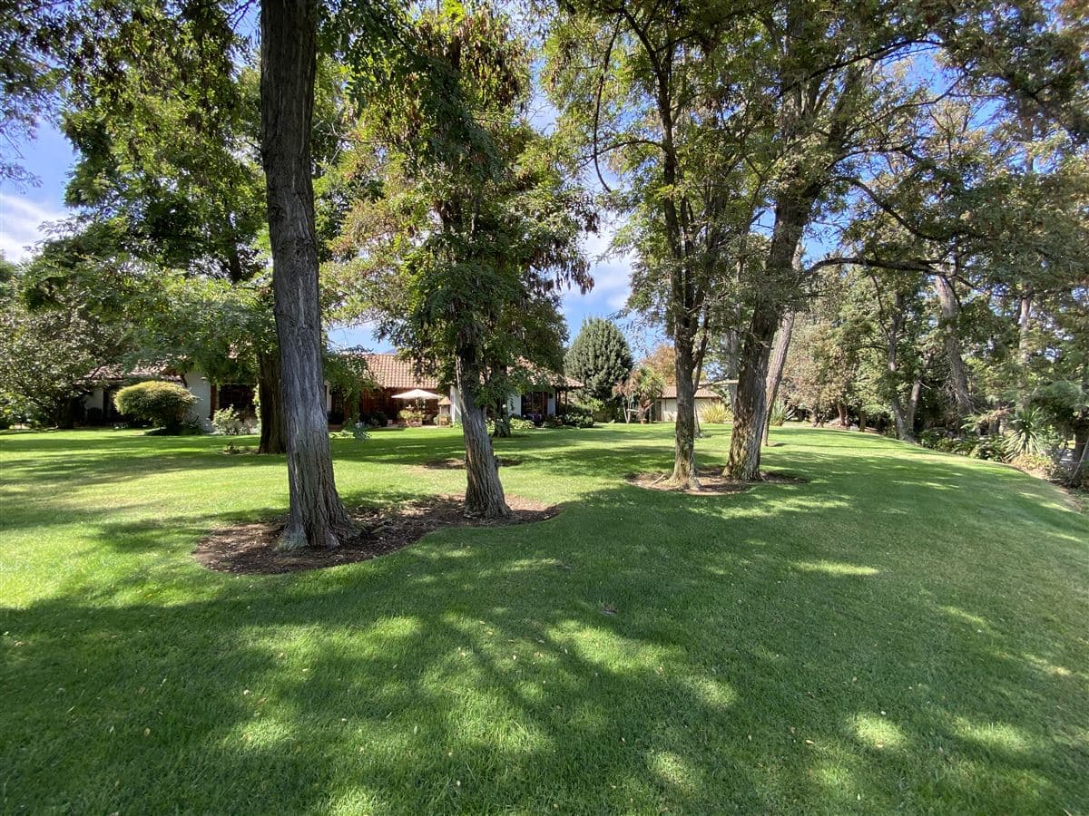 Lago Rapel, sector Las Cabras