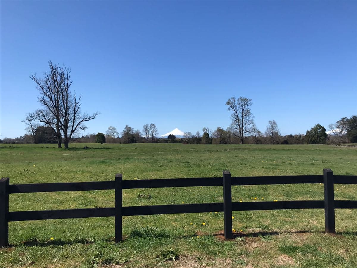 sector Casma , Frutillar