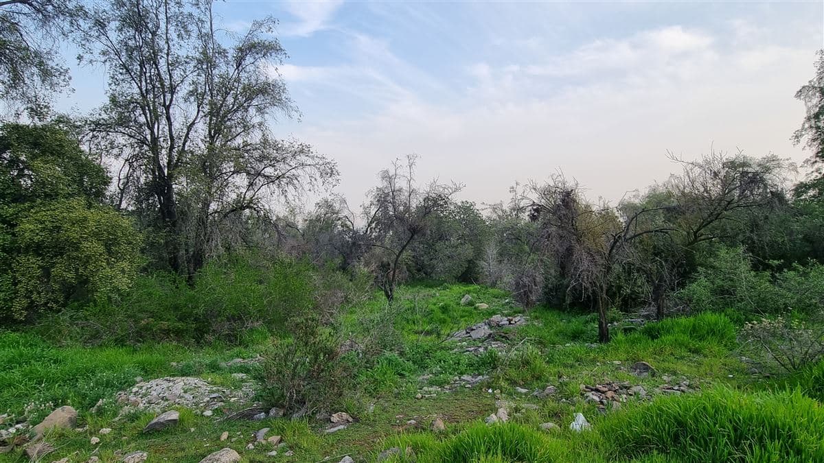 Santa María Manquehue - Agua del Palo- dos roles