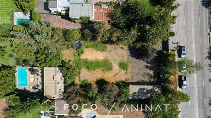 los nogales de la dehesa 