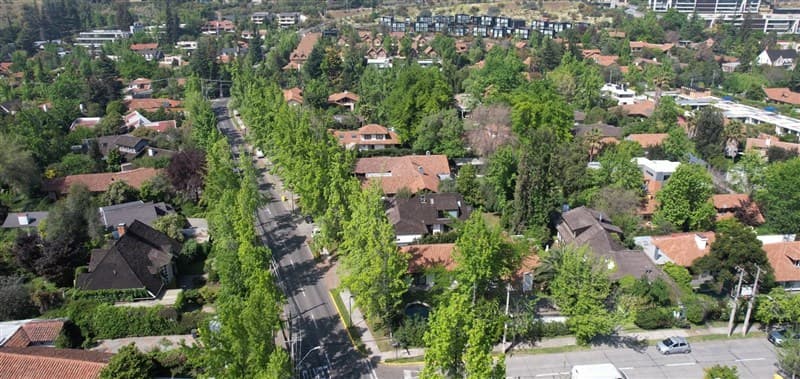 Santa Blanca / Dehesa Antigua