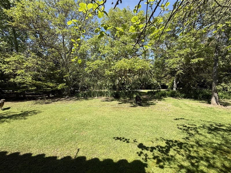 El Copihue, camino Lonquén, Calera de Tango