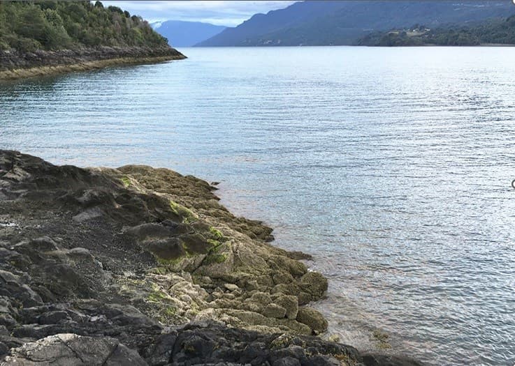 Cochamo a pasos de la costanera
