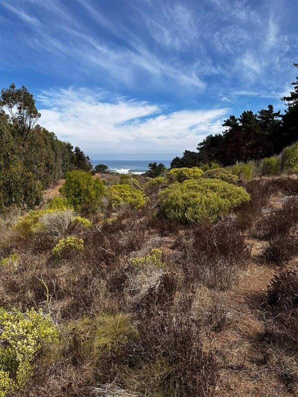 Huaquén del Mar, playa Pichicui, La Ligua