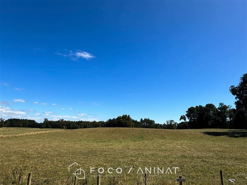 Río Bueno / Vivanco