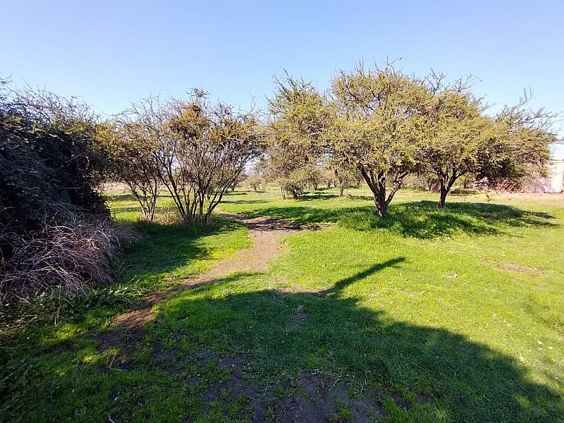 PARCELA URBANIZADA 3.5HA EN MARÍA PINTO                     