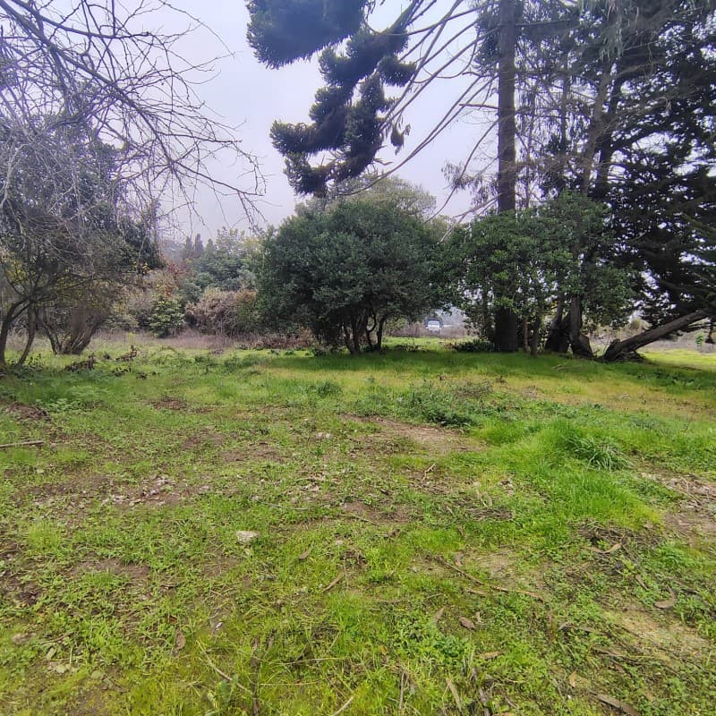 FOCOLARE PROPIEDADES VENDE SITIO                            