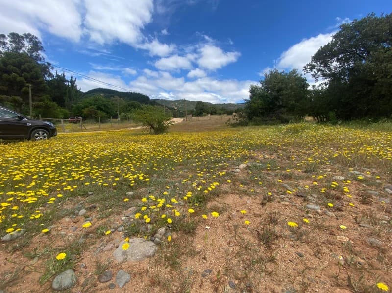 PARCELA - SECTOR  SANTA CRUZ                                