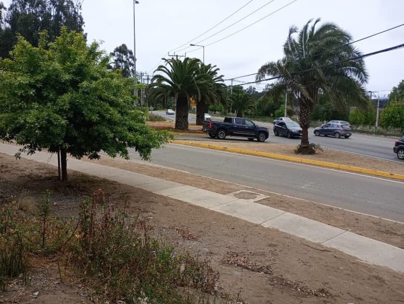 FOCOLARE PROPIEDADES ARRIENDA TERRENO                       