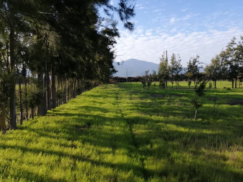 VENDO PARCELA 7.500 M2  SECTOR QUEBRADILLA  - LA LIGUA      