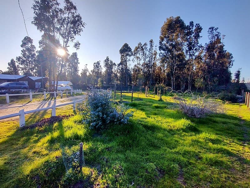 ARRIENDO PARCELA 5.000 M2 CON CASA 5D/1B EN LITUECHE        