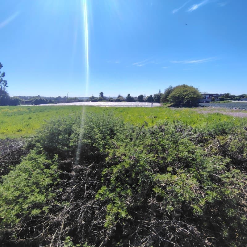 FOCOLARE VENDE TERRENOS EN SANTO DOMINGO                    