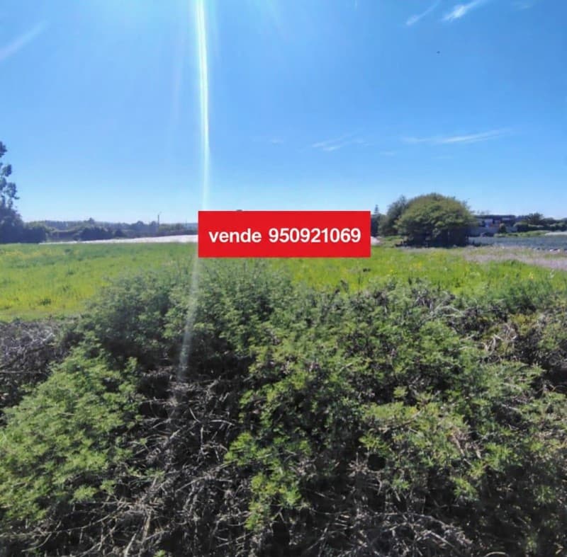 FOCOLARE VENDE TERRENOS EN SANTO DOMINGO                    