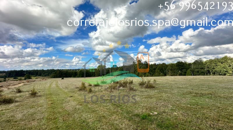 A 17 KMS DE VALDIVIA                                        