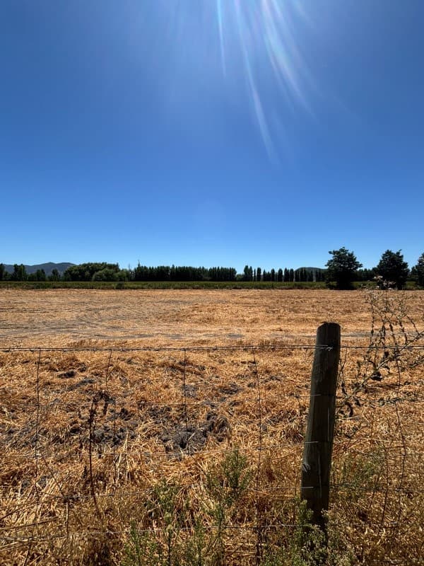 SECTOR LOS MAYOS, SAN VICENTE DE TAGUA TAGUA                