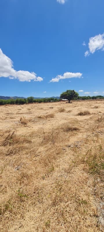 PARCELA EN SAN VICENTE                                      