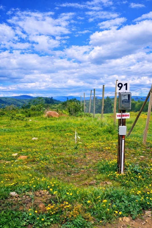 SANTA ROSA DE COLMO QUINTERO                                