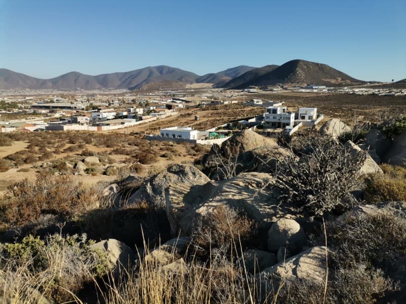 COQUIMBO                                                    