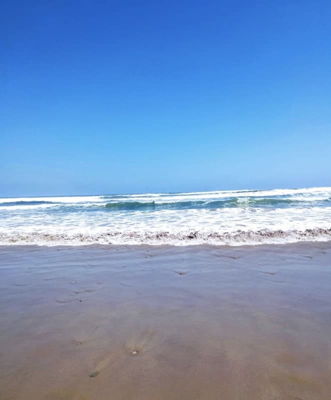 PUNTA CHOROS ISLA DAMAS                                     