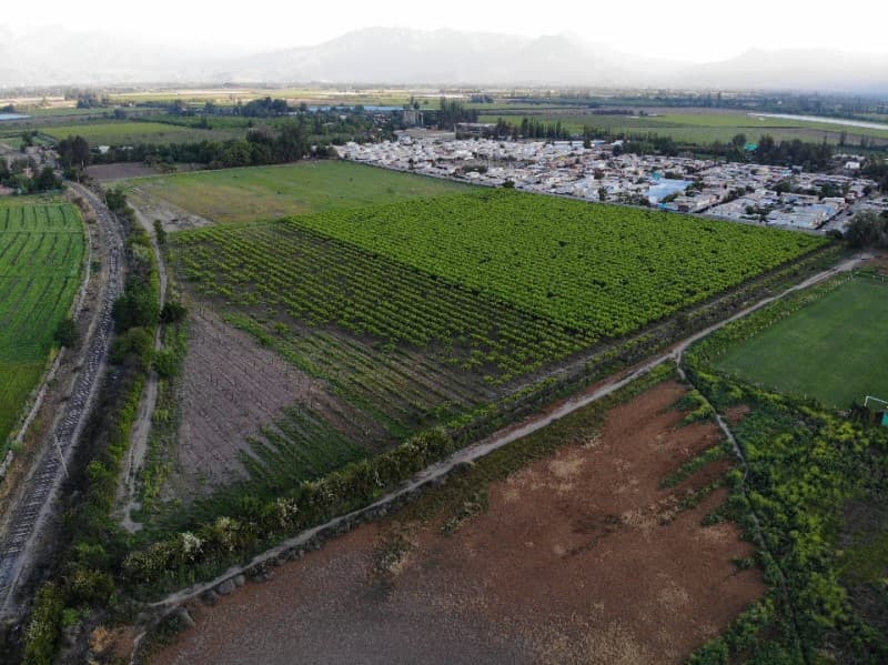 TERRENO AGRICOLA CON DERECHHOS DE AGUA / CERCANO ZONA URBANA