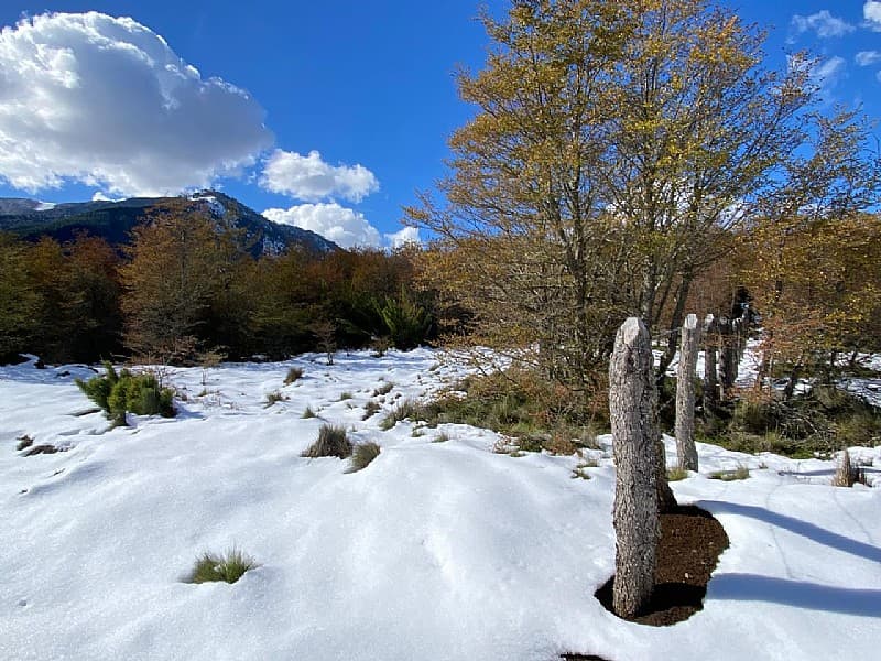 PARCELA 5000M2 EN LOTEO MALALCAHUELLO                       