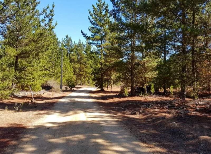 PARCELAS EN FUNDO LA PETRILLA                               