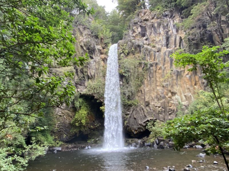 VENTA HERMOSAS PARCELAS 5000 M2 EN SALTO LA PRINCESA        