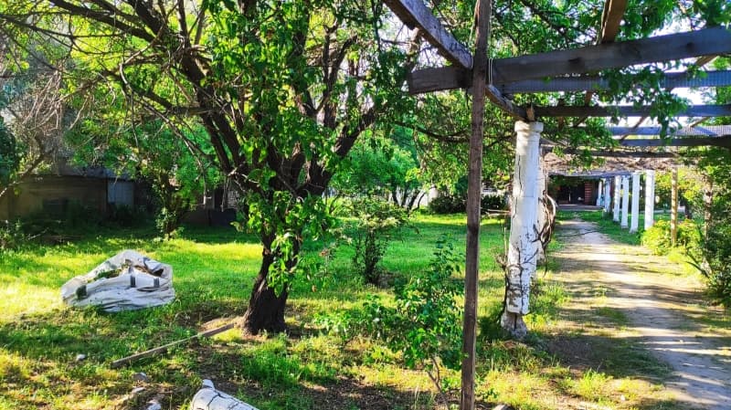 HUANHUALI CON EL BOSQUE                                     