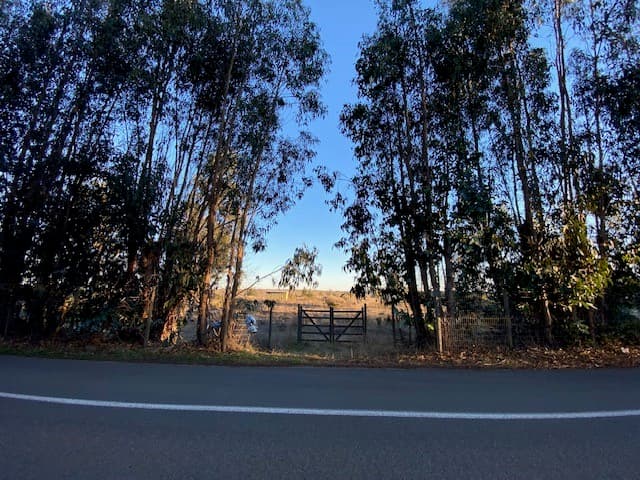 SECTOR EL CONVENTO SANTO DOMINGO                            