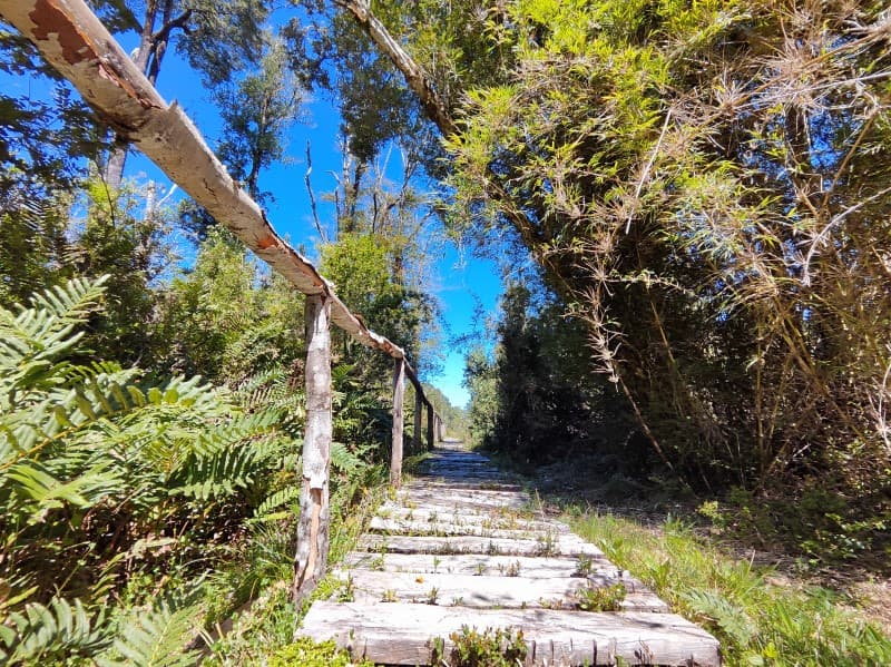A 25 KM DE PUERTRO VARAS                                    