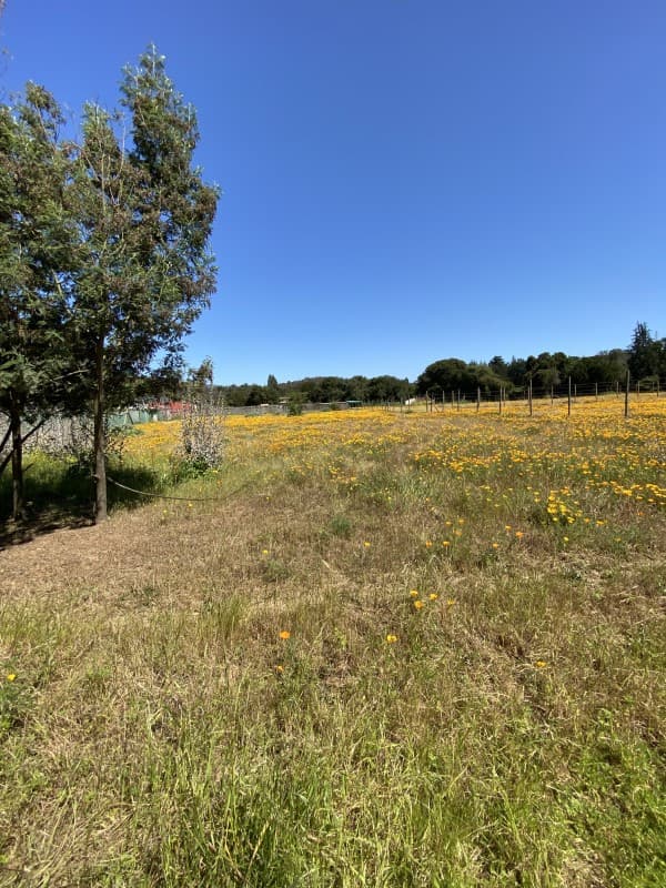 HERMOSO TERRENO EN MANTAGUA                                 