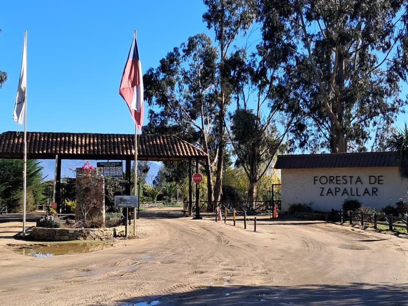 VENTA PARCELA CON ESPECTACULAR VISTA EN CATAPILCO/ZAPALLAR  