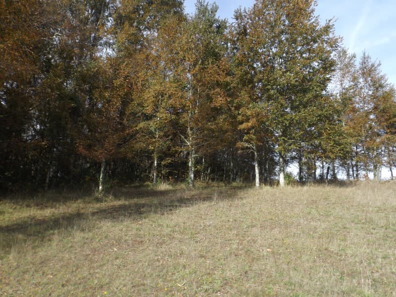 PARCELAS SEPTIMA FAJA                                       