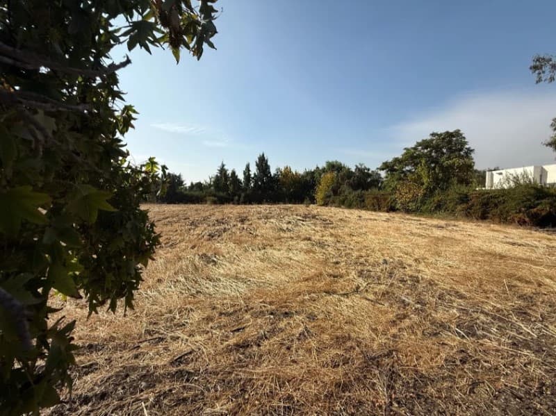 CHICUREO CENTRAL, COND. ALGARROBOS, PIEDRA ROJA             