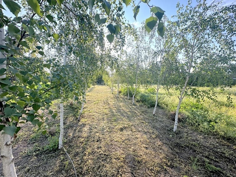 COND. CAMINO EL ALGARROBO, CHICUREO ORIENTE, SITIO CENTRAL  