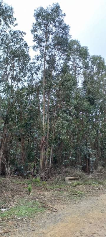 A 5 KILÓMETROS DE LA RUTA 68                                