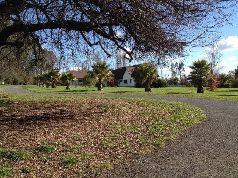 CAMINO TERMAS DE CHILLAN                                    