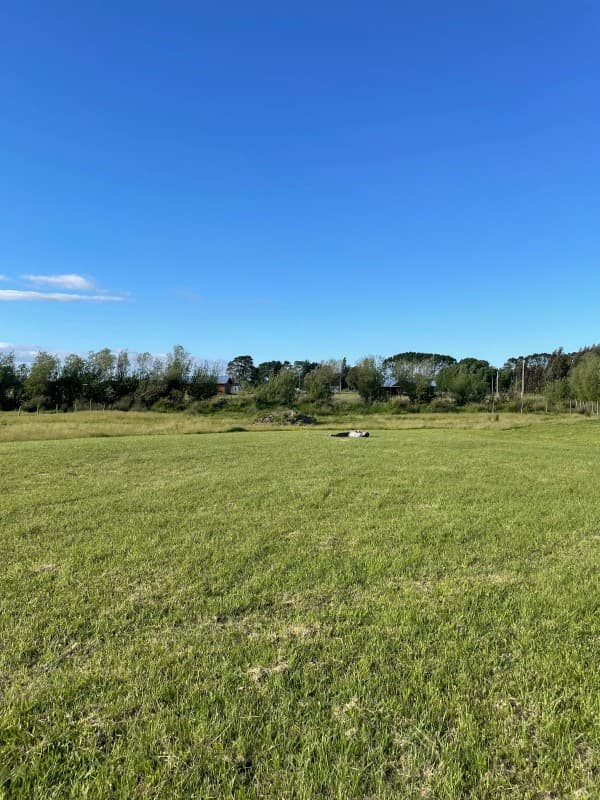 SE VENDE PARCELA SECTOR QUILANTOS, COMUNA DE FREIRE         