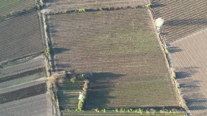 PARCELA EN EL ALMENDRAL FACTIBILIDAD LUZ Y AGUA             