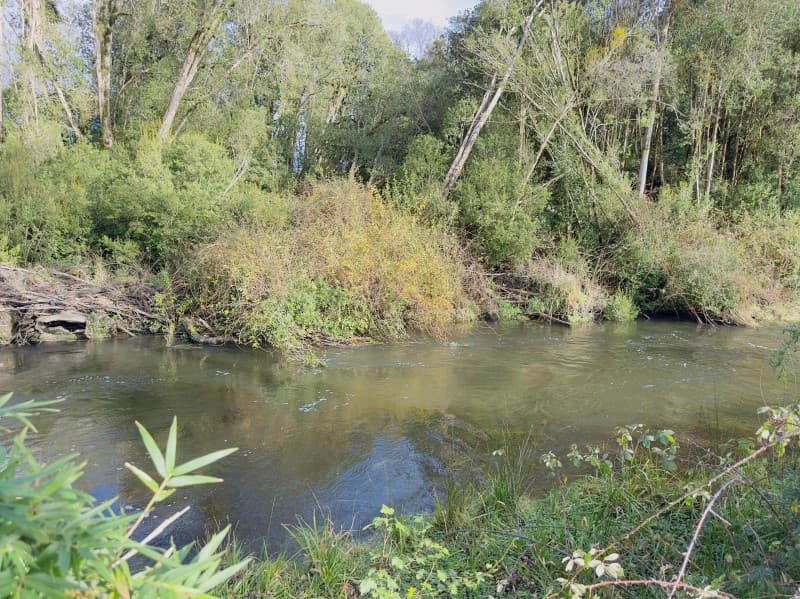 PARCELA ORILLA RIO+ CASA+ CABAÑA CON TINAJA PARA ARRIENDO   