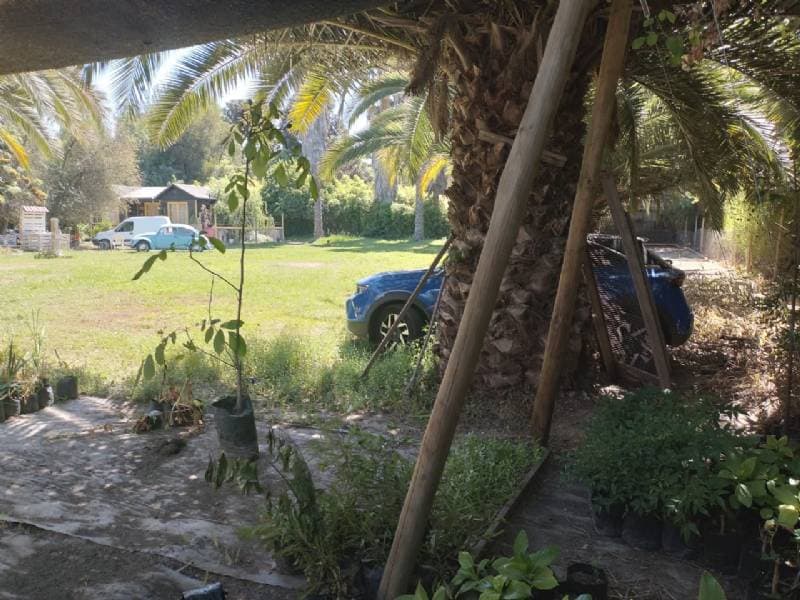 TERRENO URBANO EN BUIN POSIBILIDAD CONDOMINIO               