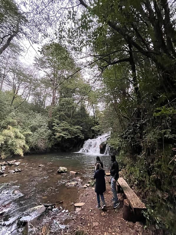 OPORTUNIDAD, HERMOSA PARCELA CURACAUTÍN 5000MTS             