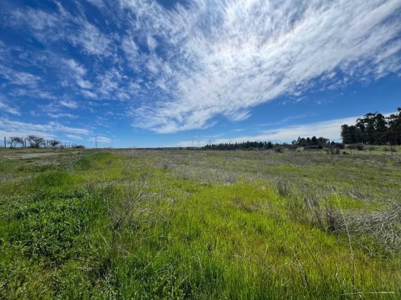 SE VENDE PARCELA DE 9.800 M2 CON GRAN PROYECCIÓN LITUECHE   