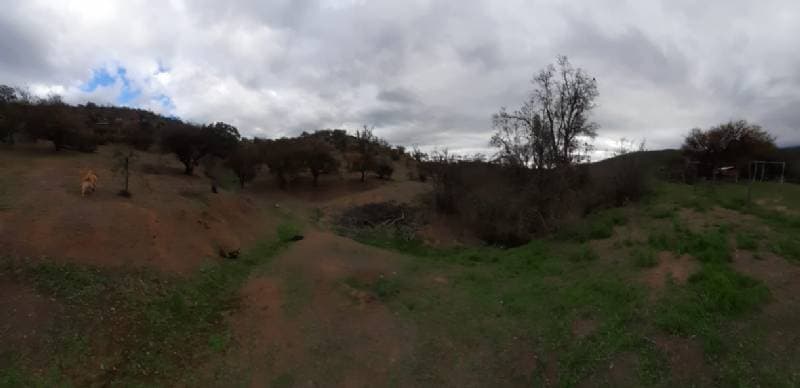 CURACAVI / ALTOS DE MIRAFLORES                              