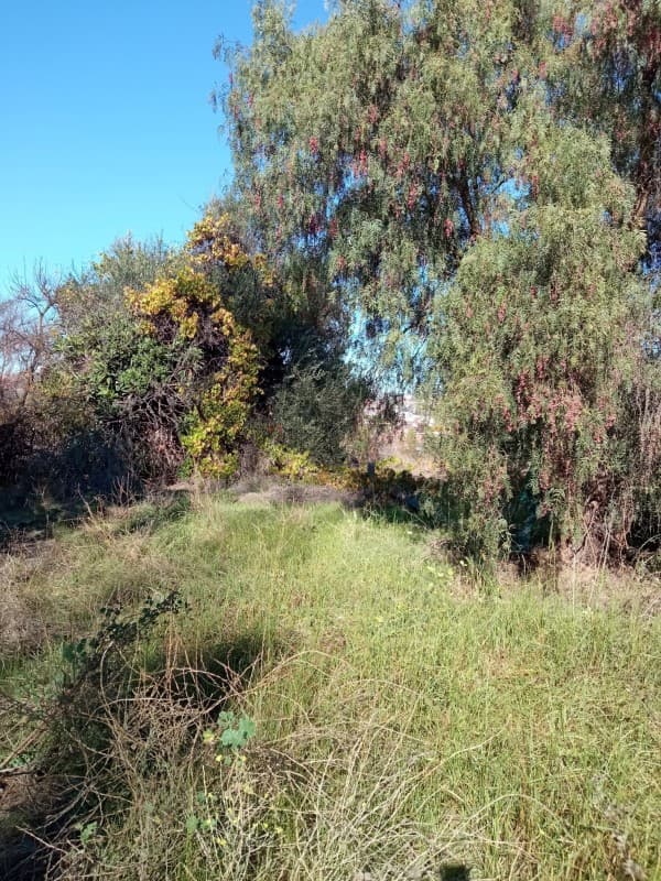 A 2 CUADRAS DEL CALLE FREIRE                                