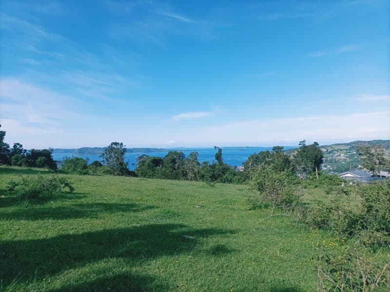 ALTO LA PALOMA , RUTA W 587 ,ACHAO CHILOÉ                   