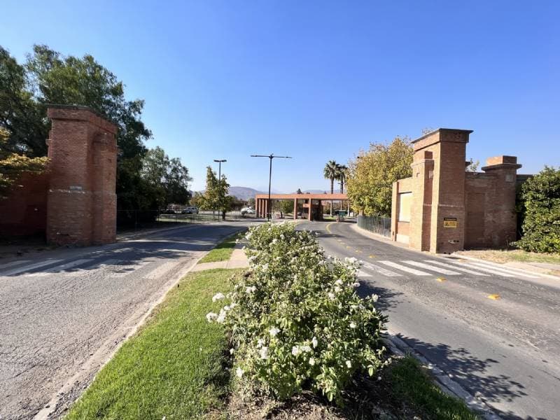 POLO MANQUEHUE, CHICUREO ORIENTE                            