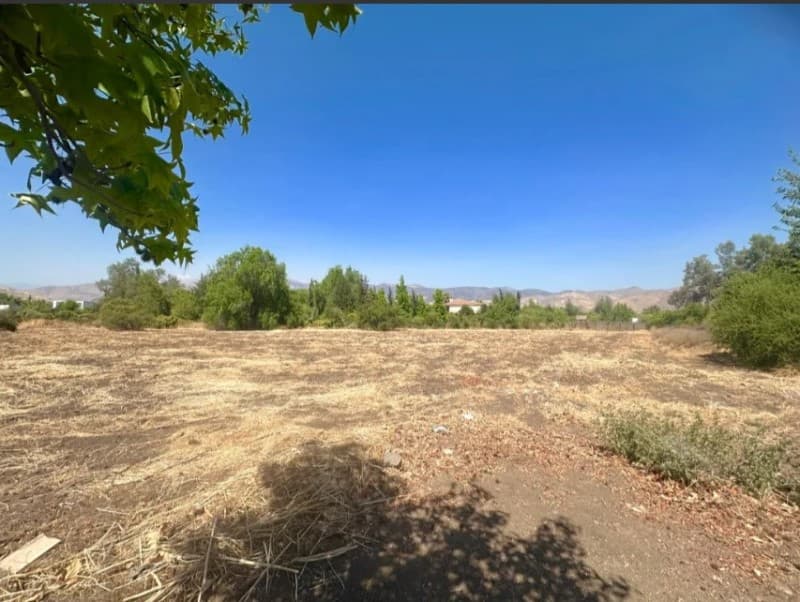 COND. ALGARROBOS, CHICUREO CENTRO                           