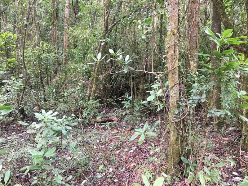 VENTA, PARCELA A 5 MINUTOS DE PLAYA PUERTO NUEVO!!!         